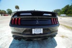 2022 Ford Mustang Shelby GT500